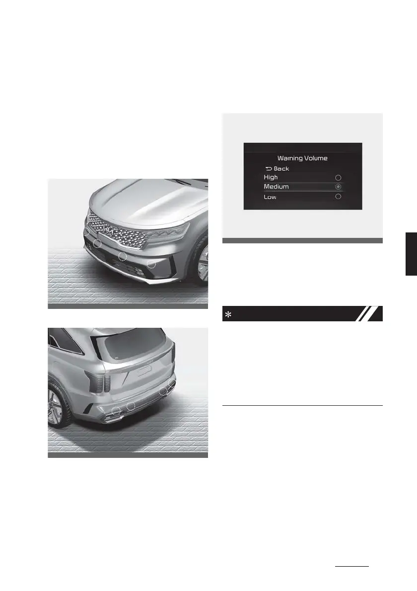 Page #243 background image