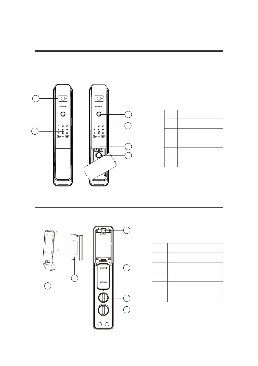 Page #11 background image