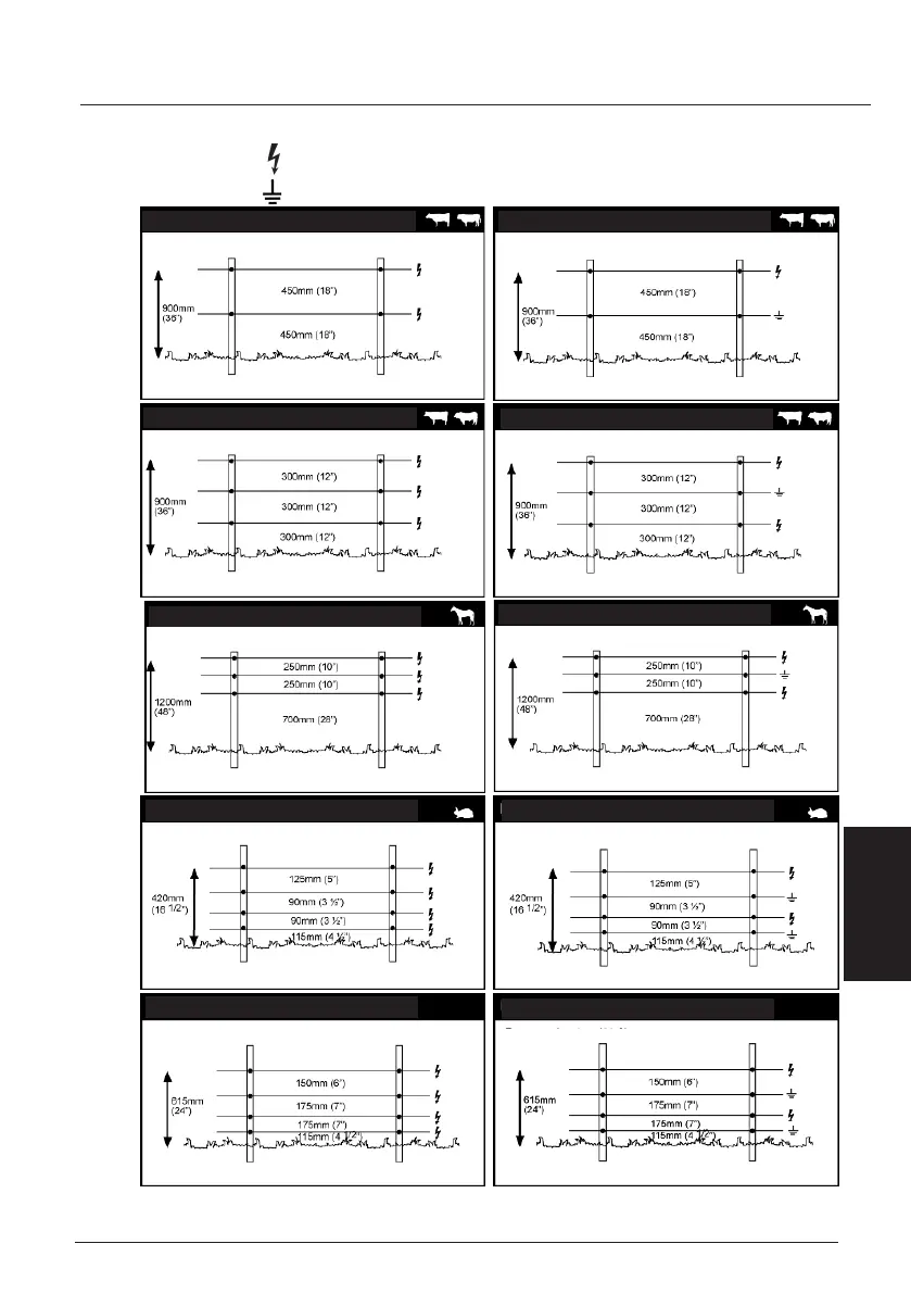 Page #77 background image