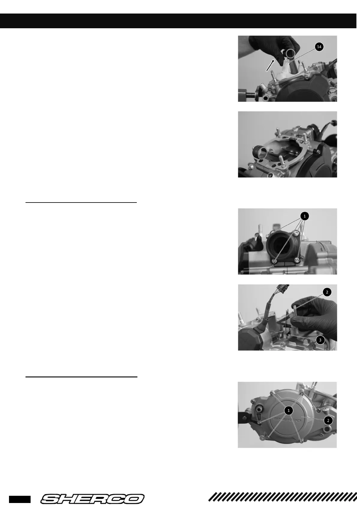 Page #21 background image