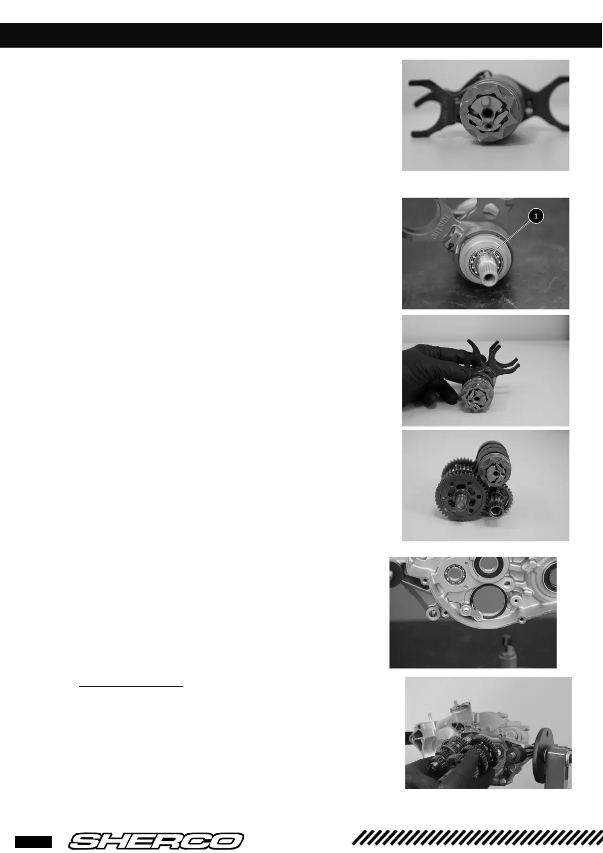 Page #40 background image