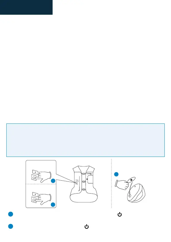 Page #66 background image