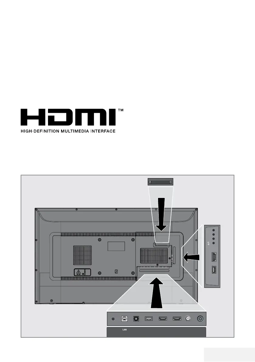 Page #221 background image