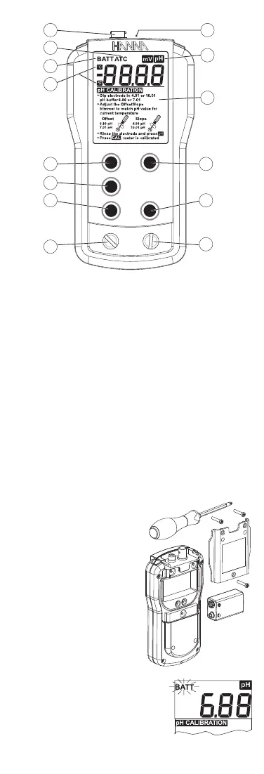 Page #4 background image