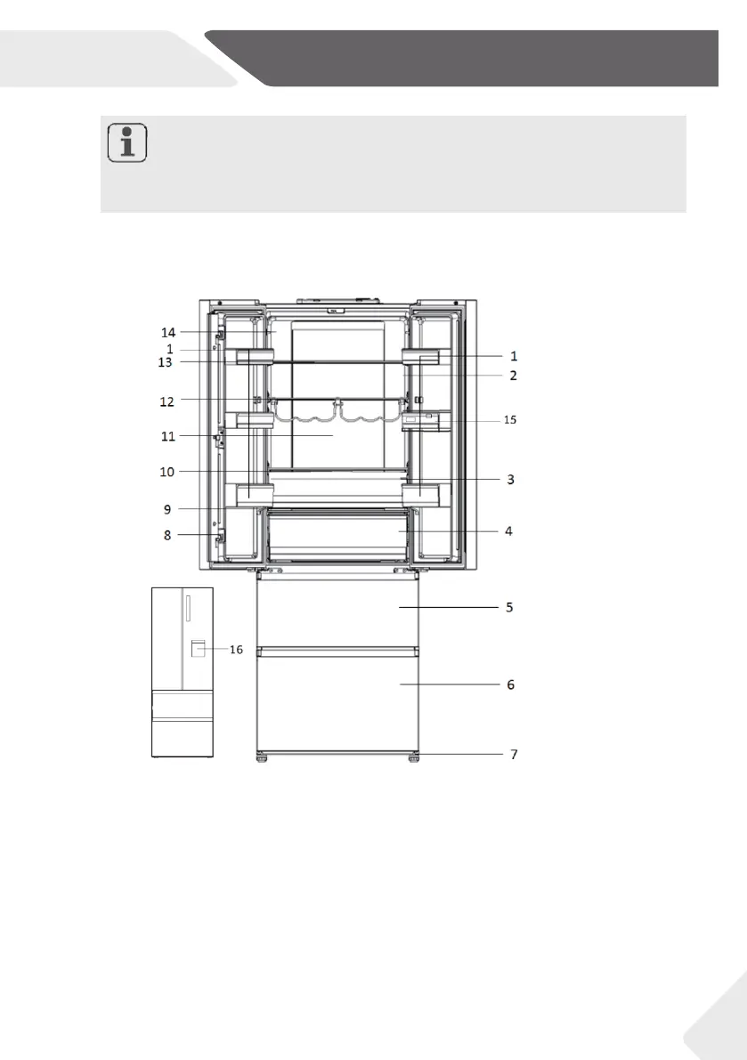 Page #613 background image