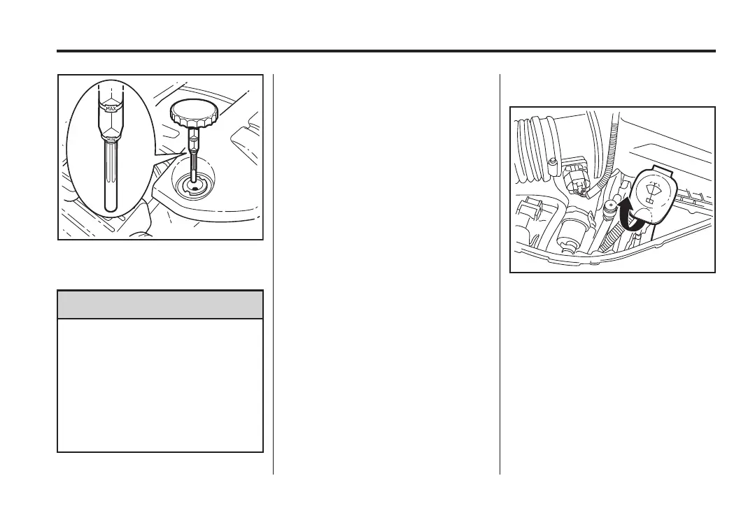 Page #261 background image