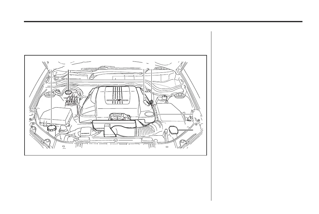 Page #251 background image