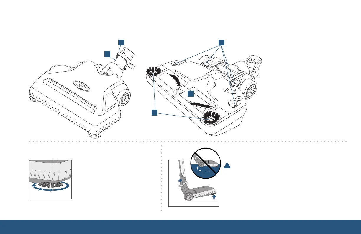 Page #3 background image