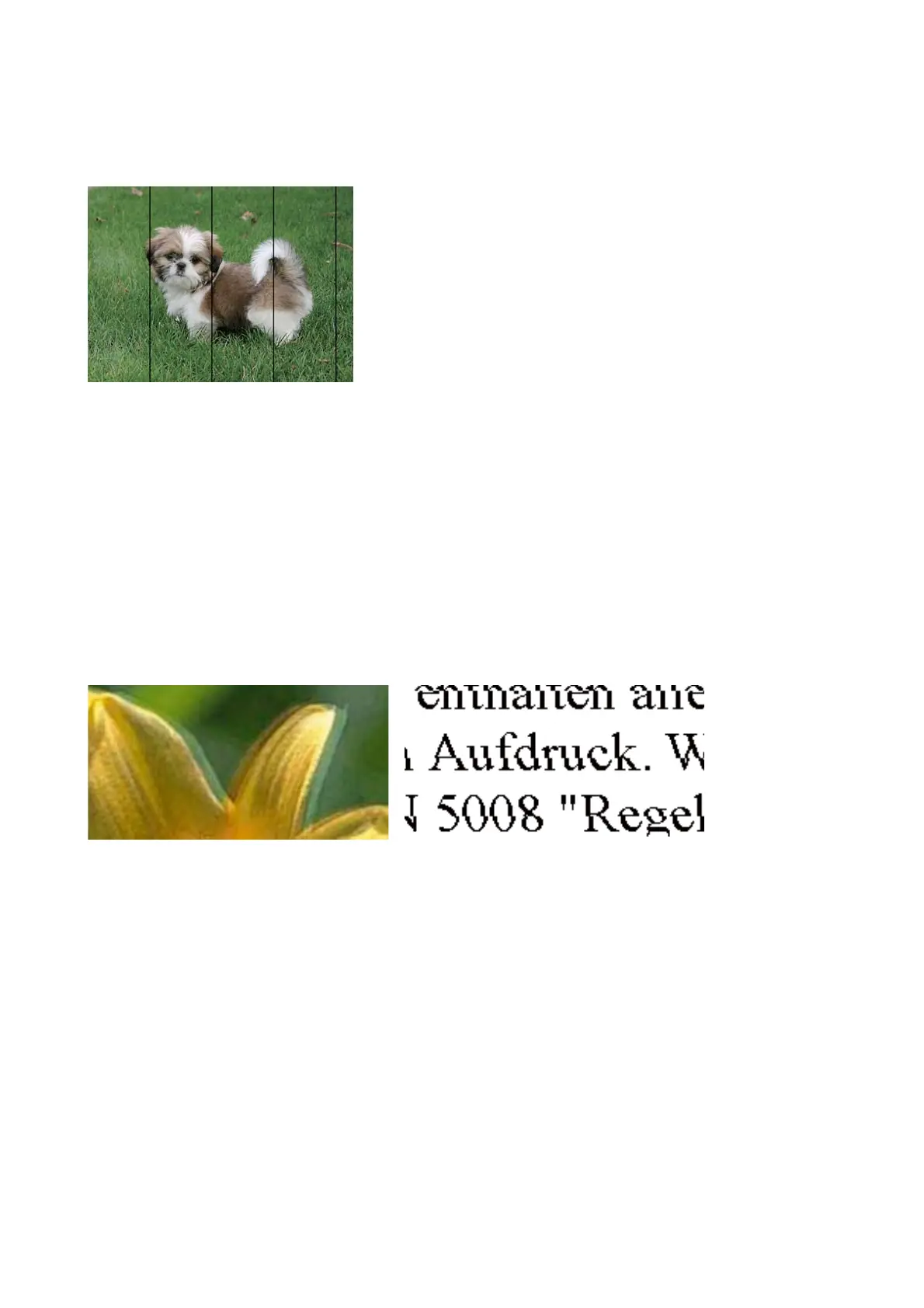 Page #78 background image
