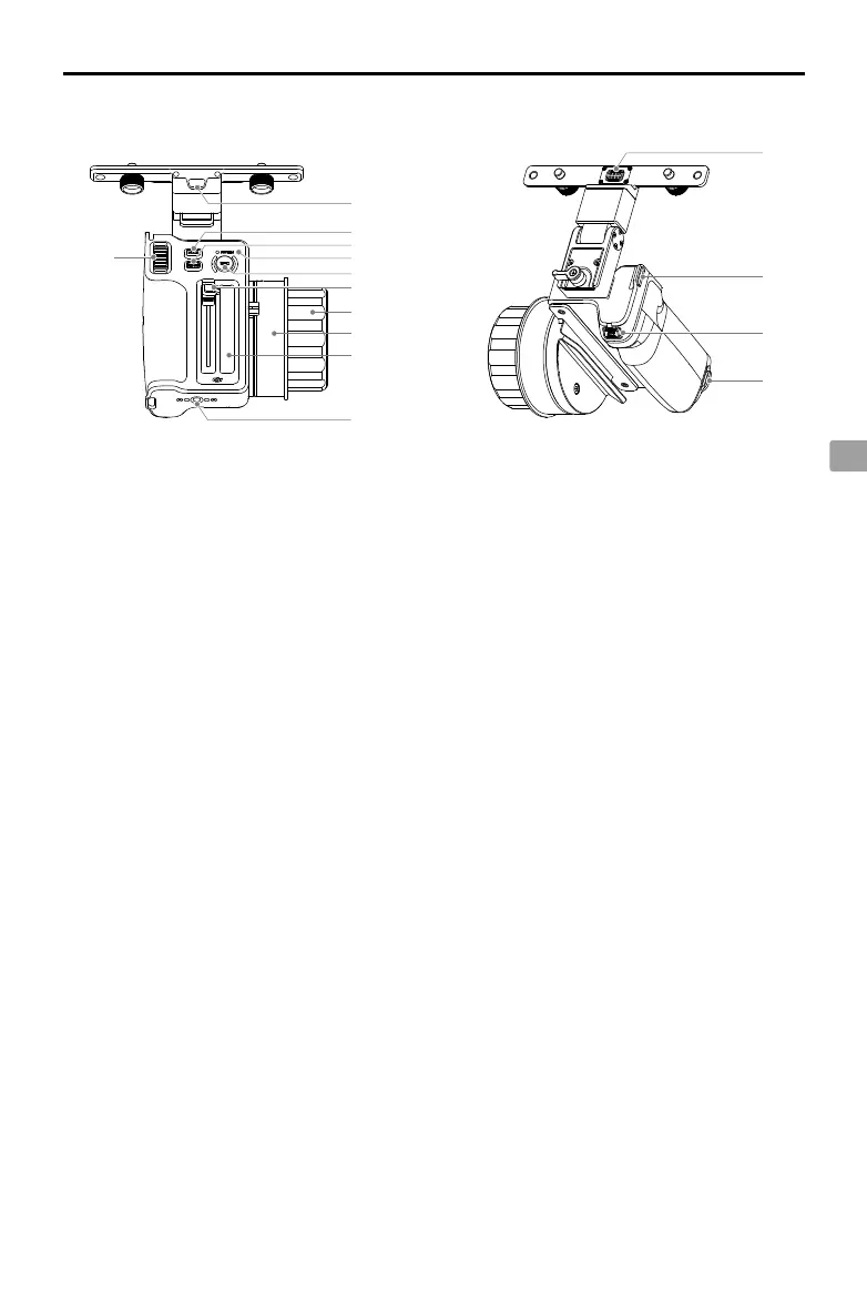 Page #61 background image
