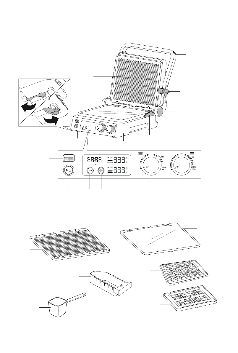 Page #3 background image