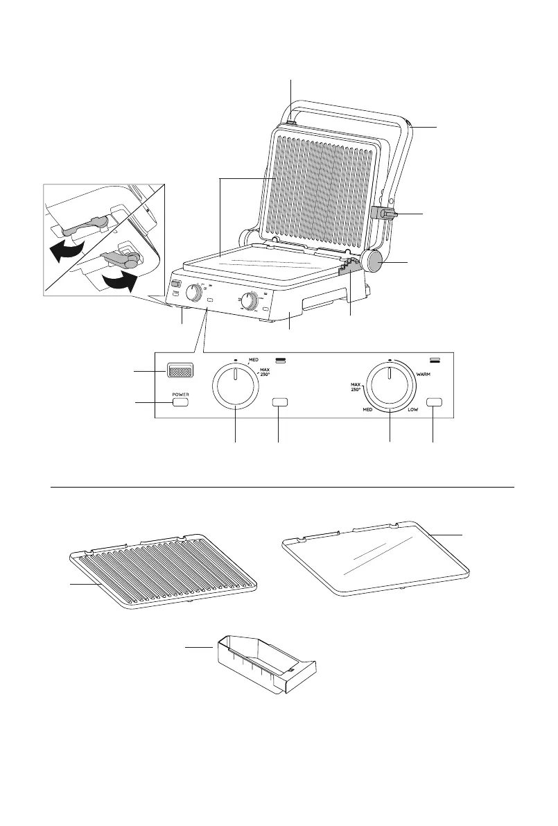 Page #3 background image