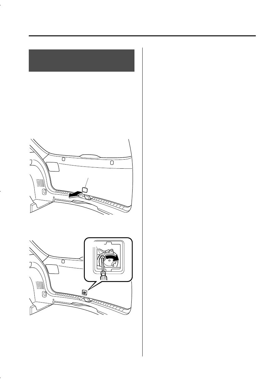 Page #419 background image