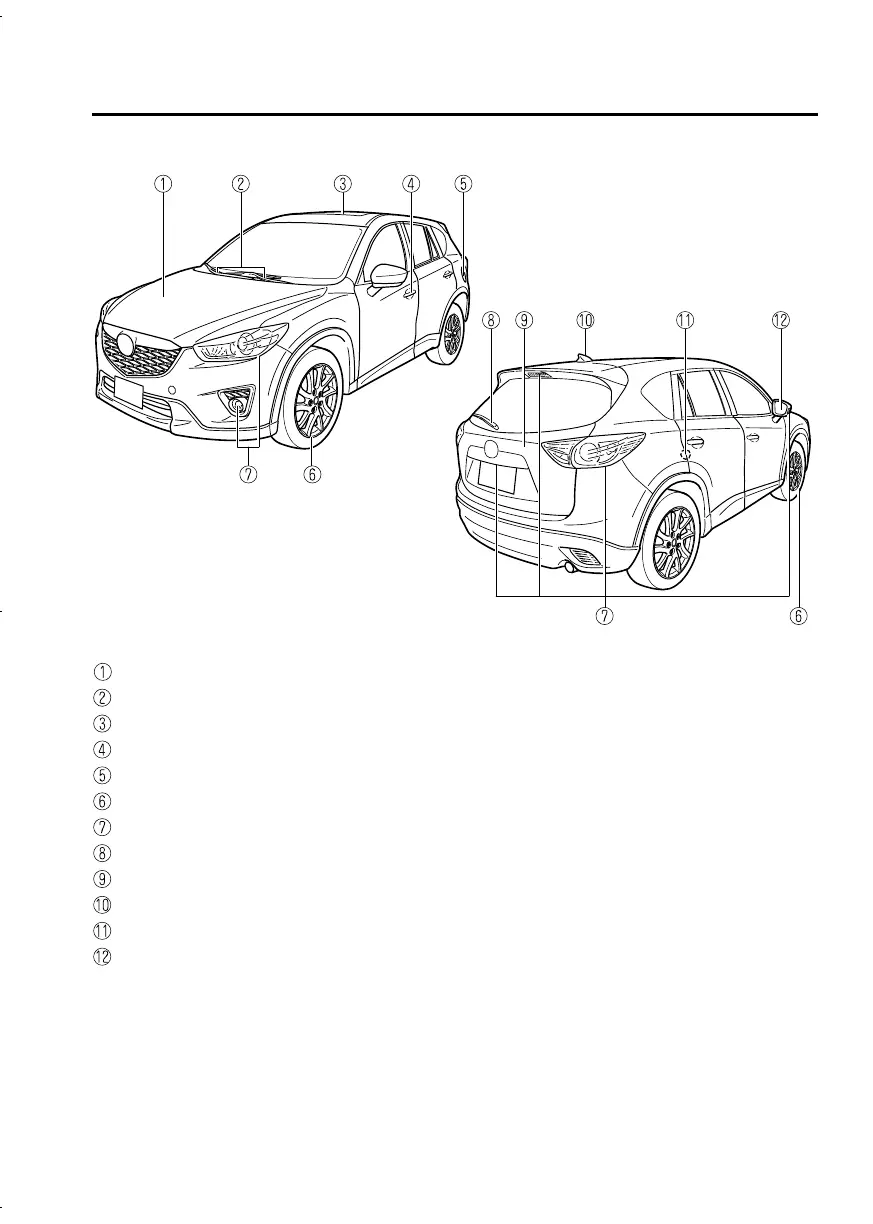 Page #11 background image