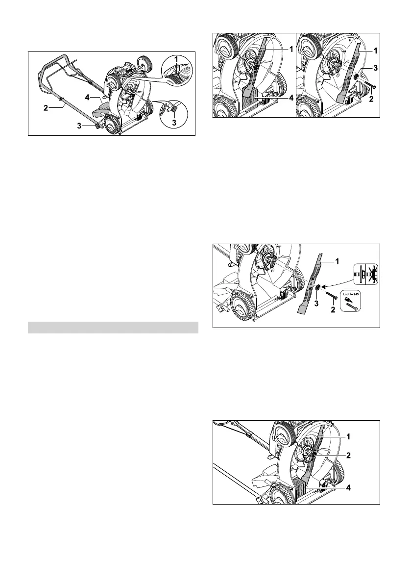 Page #50 background image