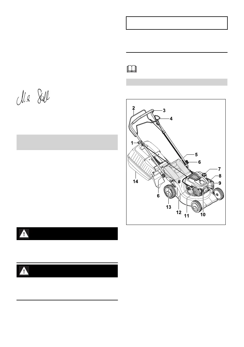 Page #55 background image
