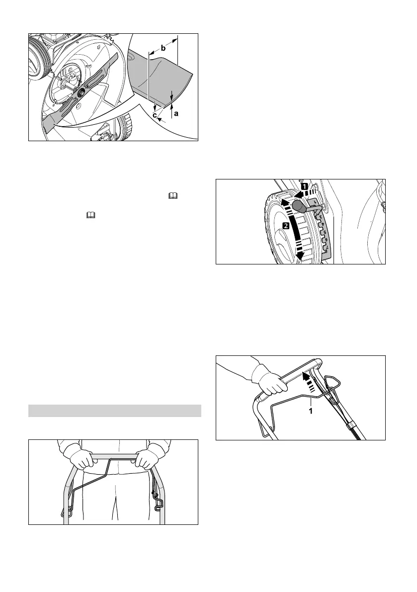 Page #64 background image