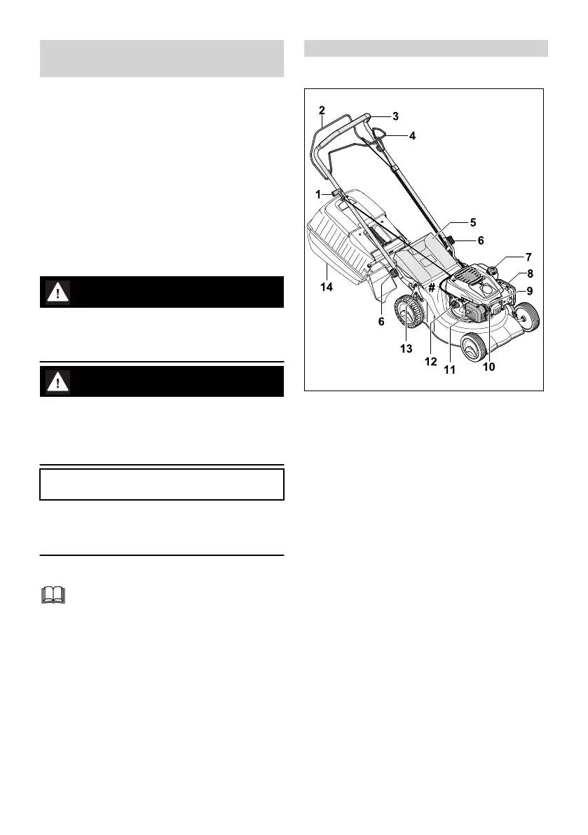 Page #191 background image