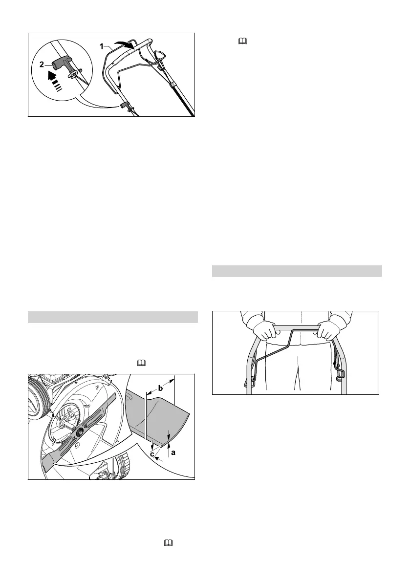 Page #219 background image