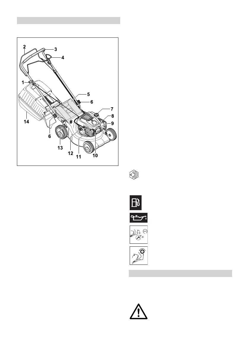 Page #246 background image