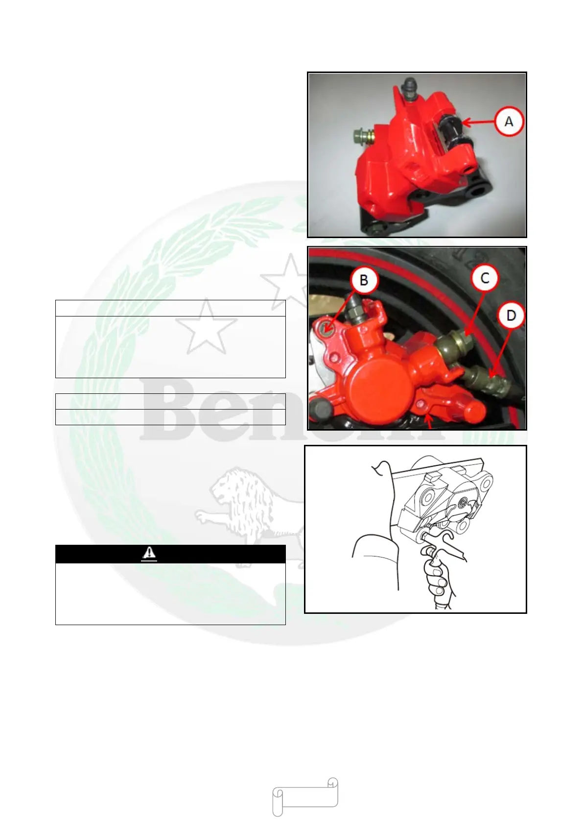 Page #117 background image
