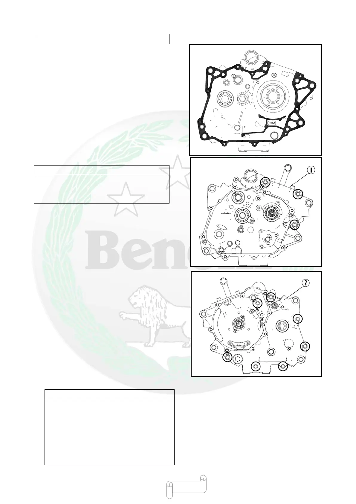 Page #243 background image