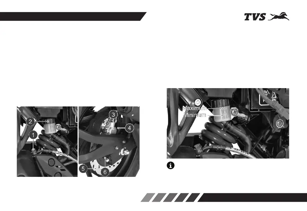 Page #81 background image