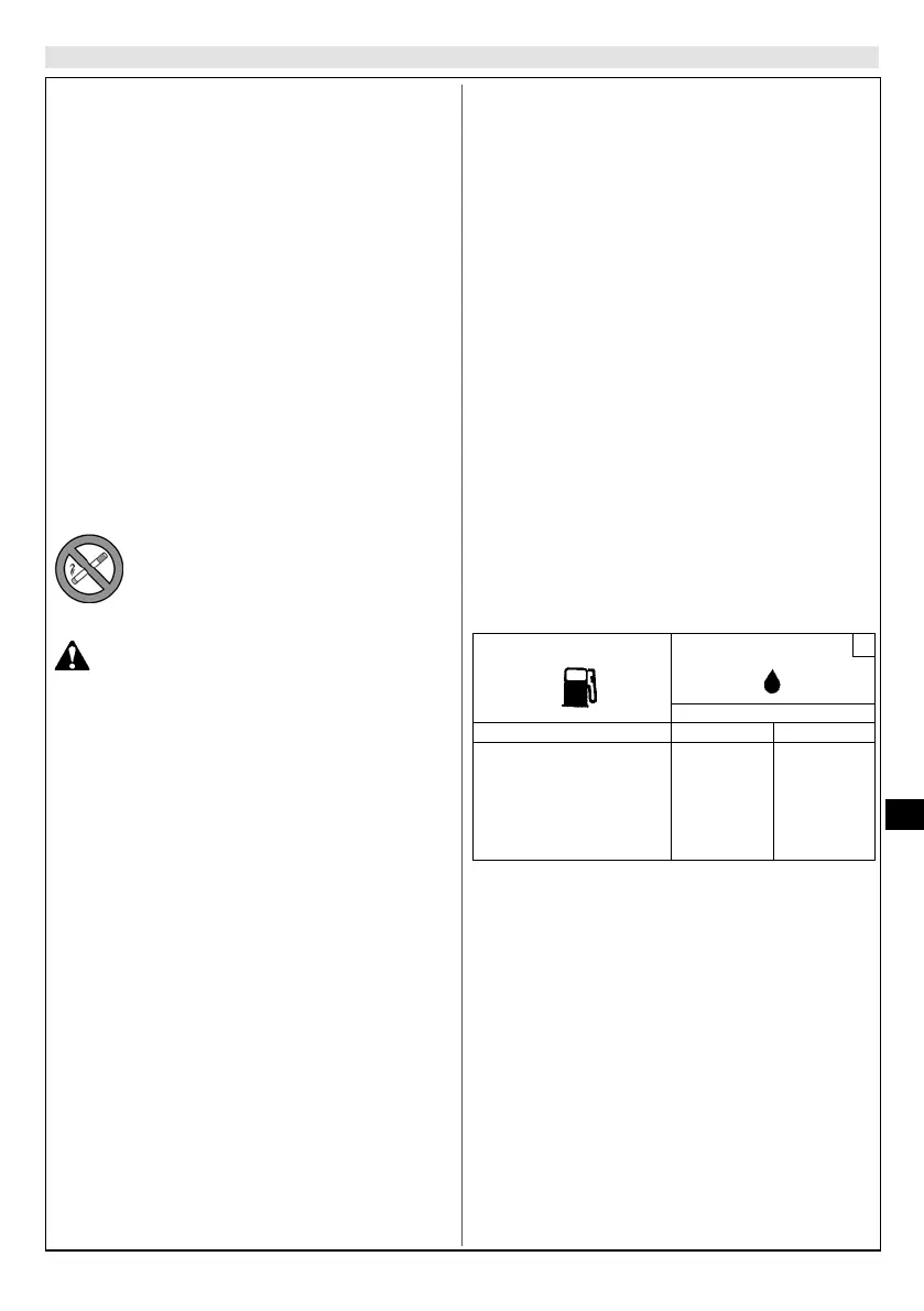 Page #237 background image