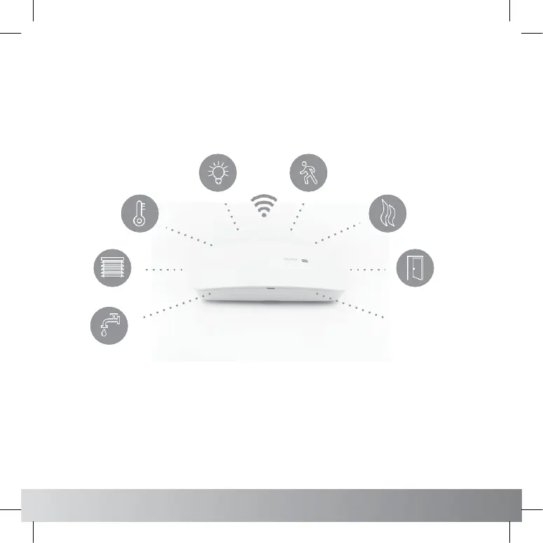 Page #2 background image