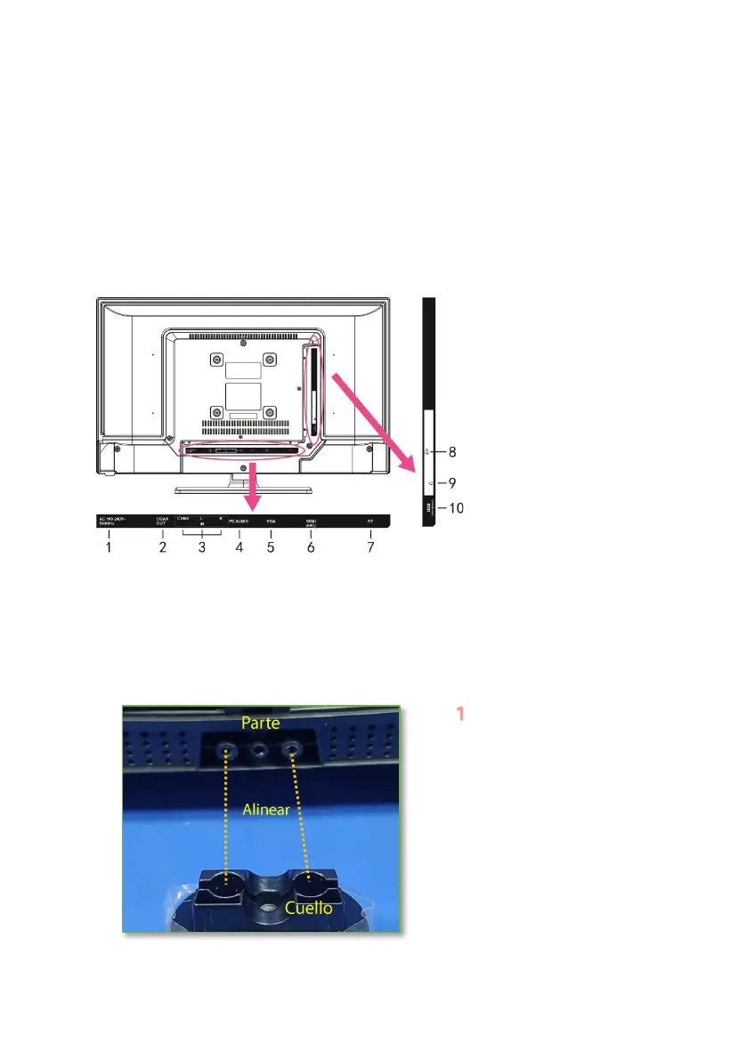 Page #50 background image