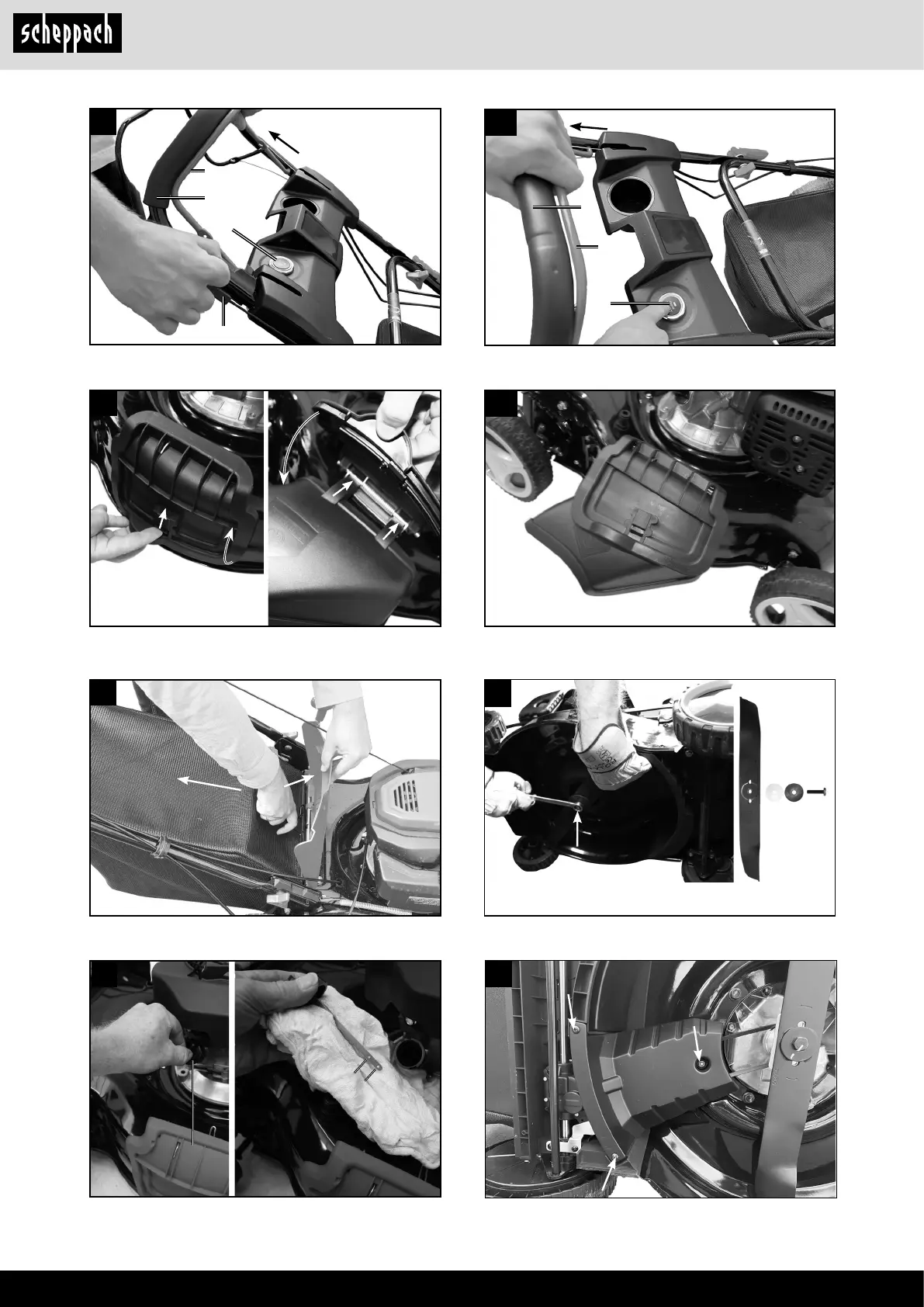 Page #6 background image
