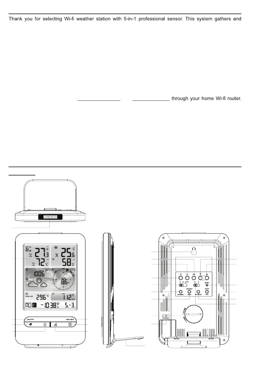 Page #4 background image