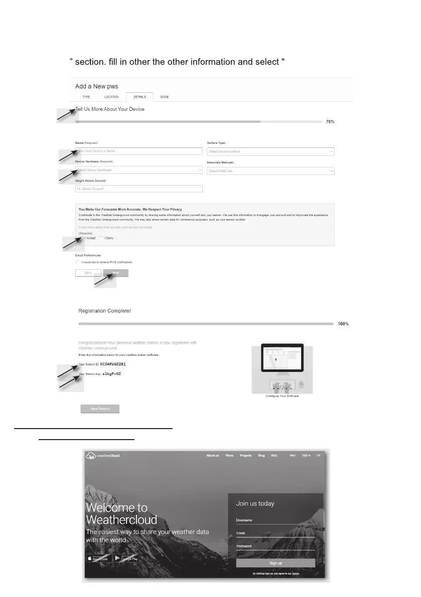 Page #10 background image