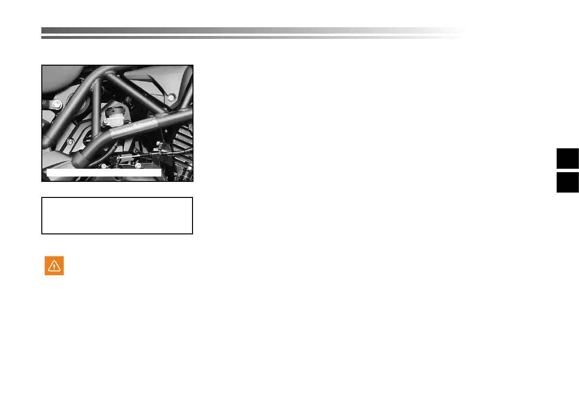 Page #265 background image