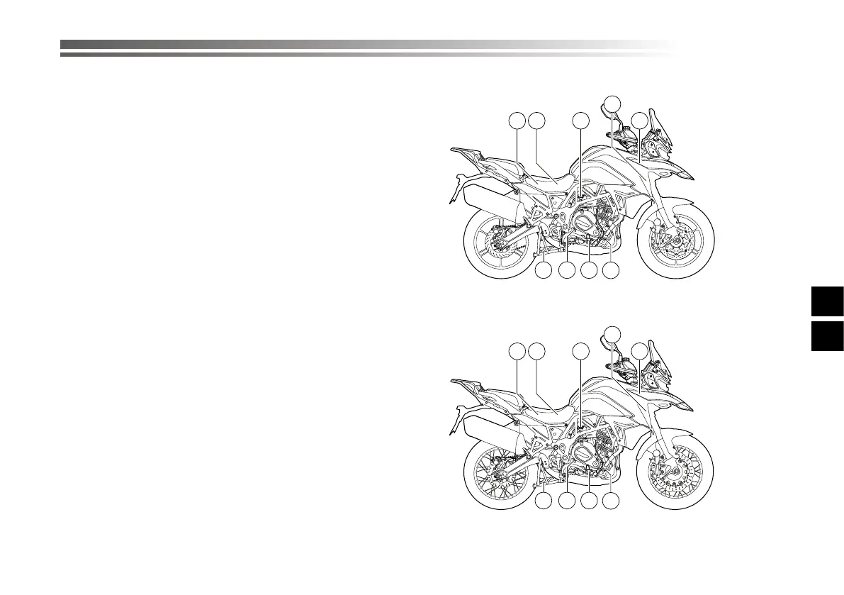 Page #310 background image