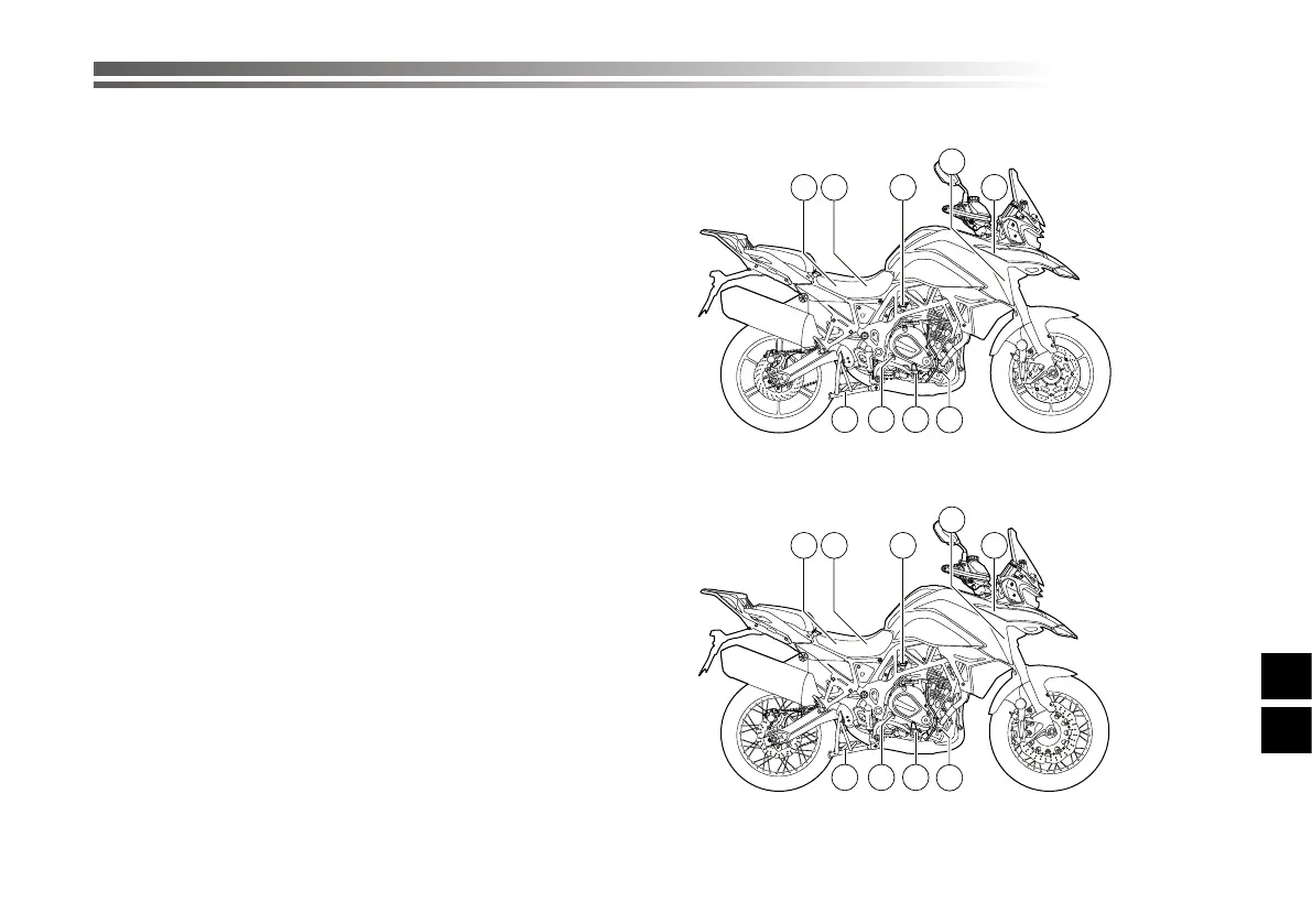 Page #506 background image