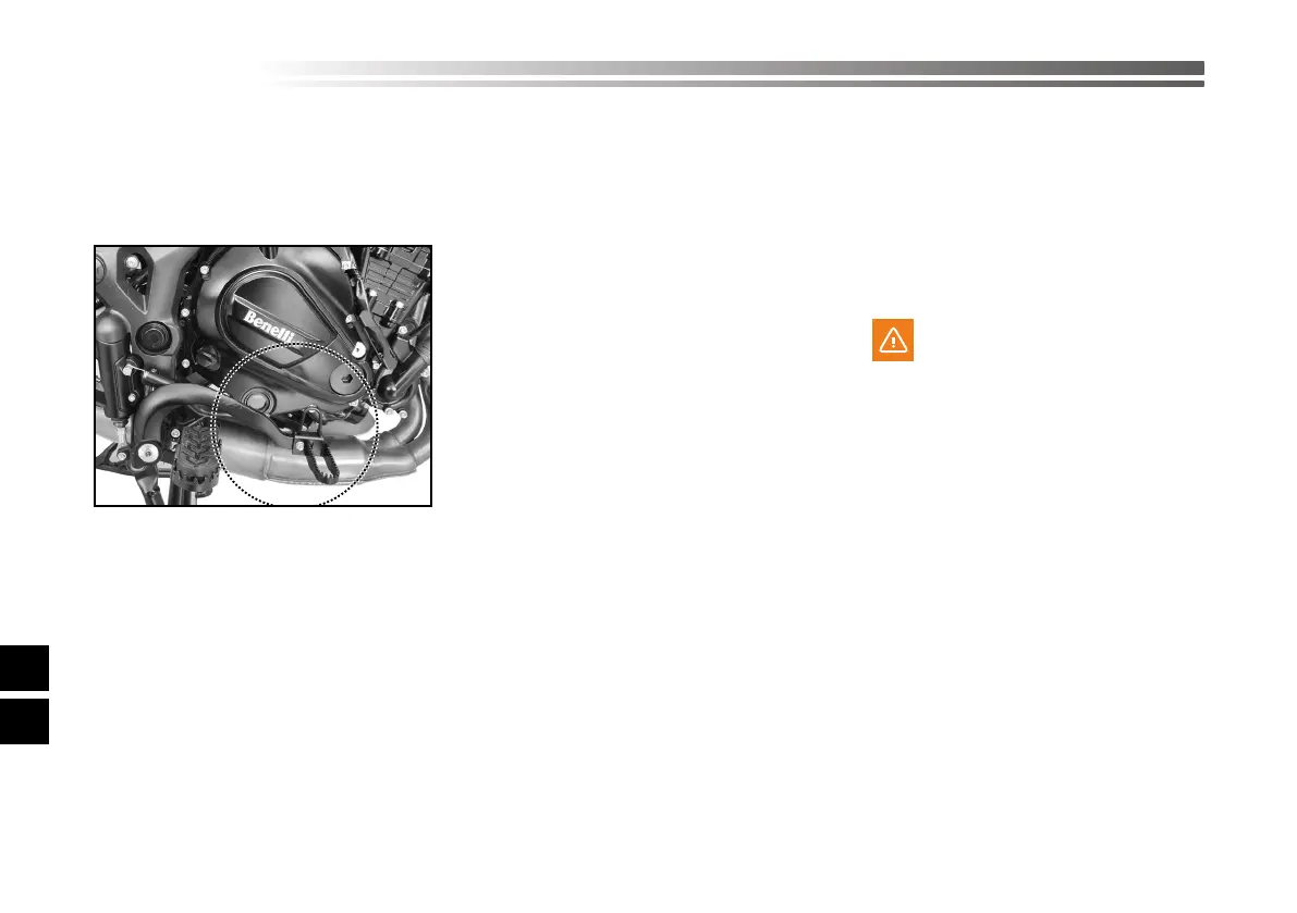 Page #521 background image