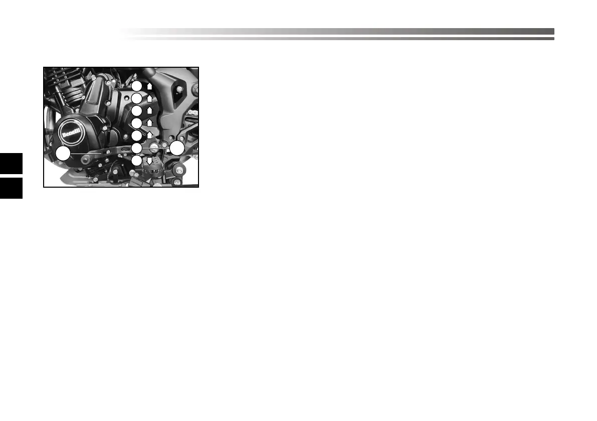 Page #242 background image