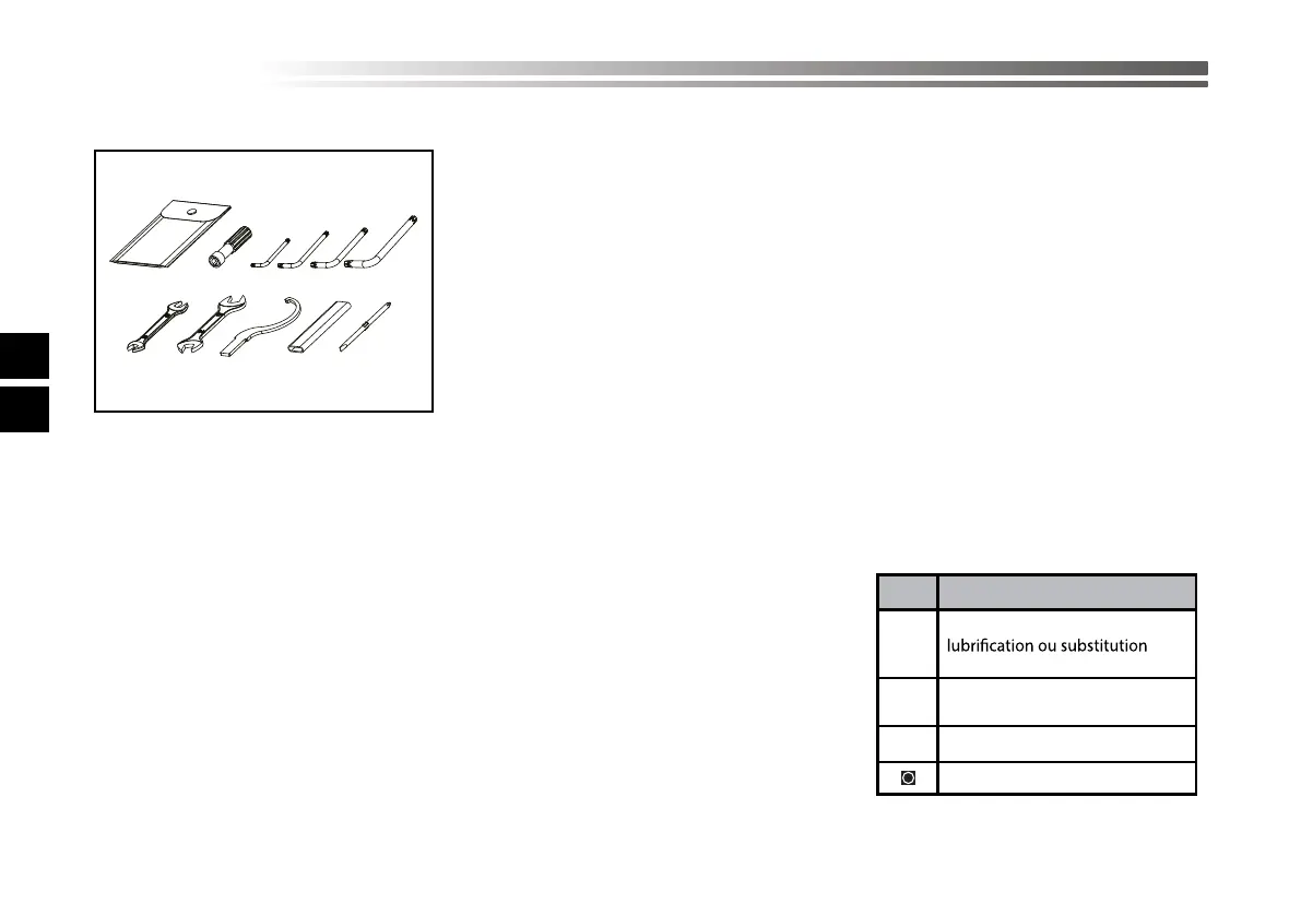 Page #246 background image