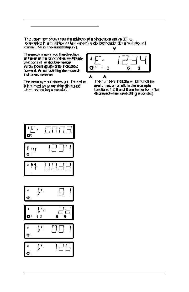 Page #19 background image