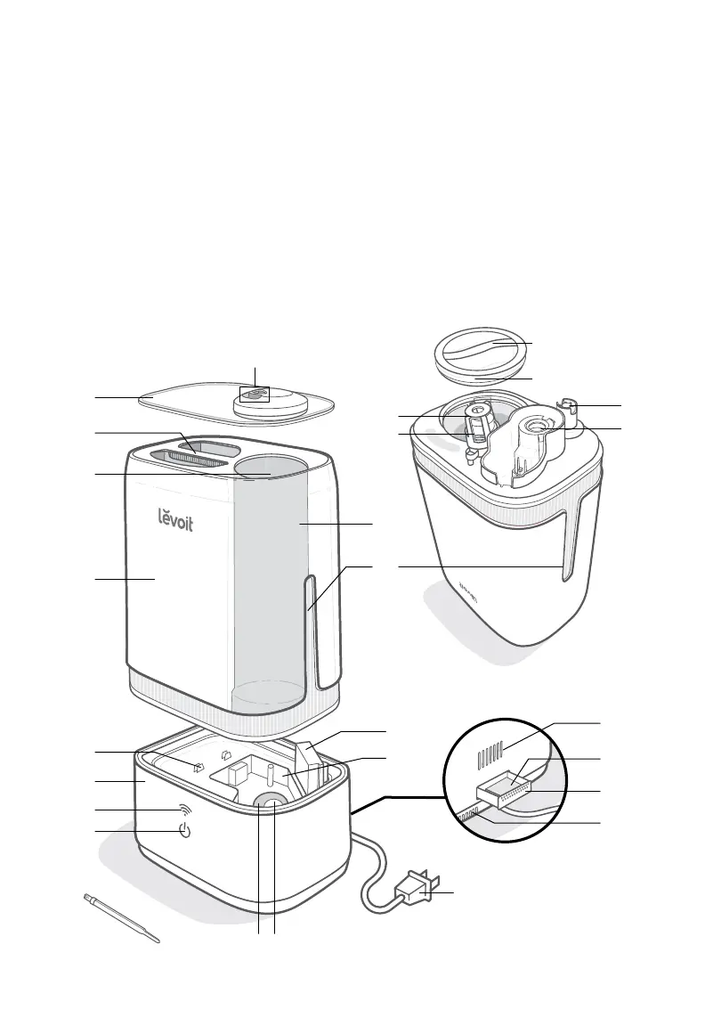 Page #5 background image