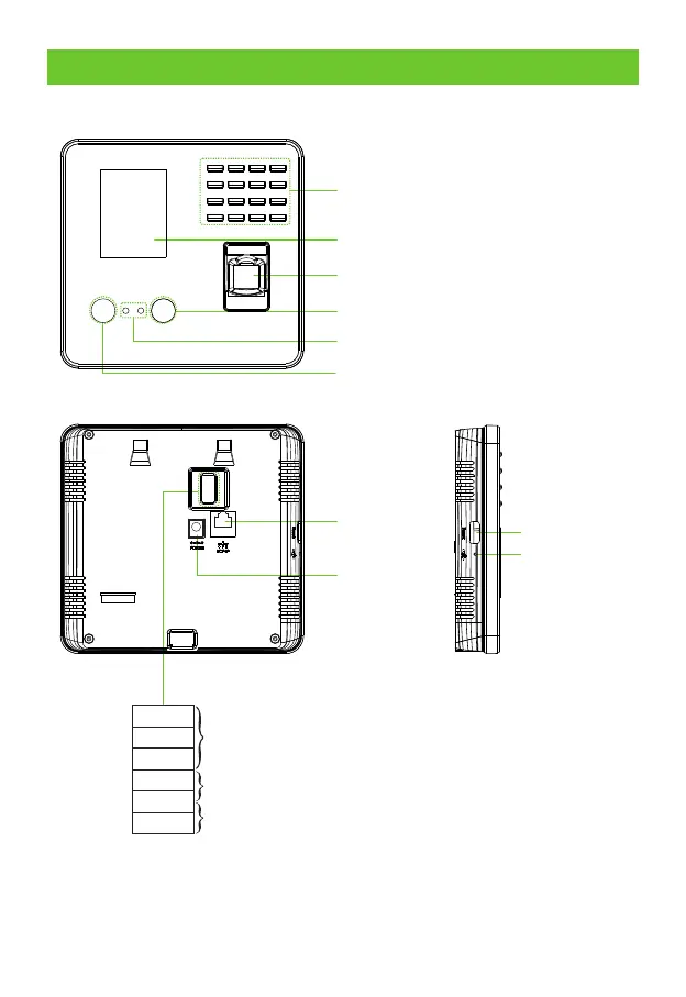 Page #2 background image