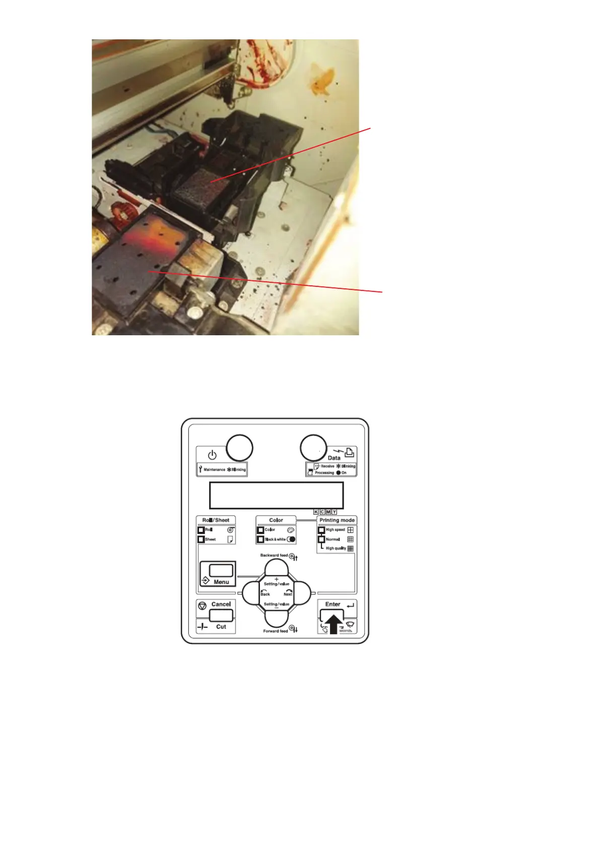 Page #4 background image