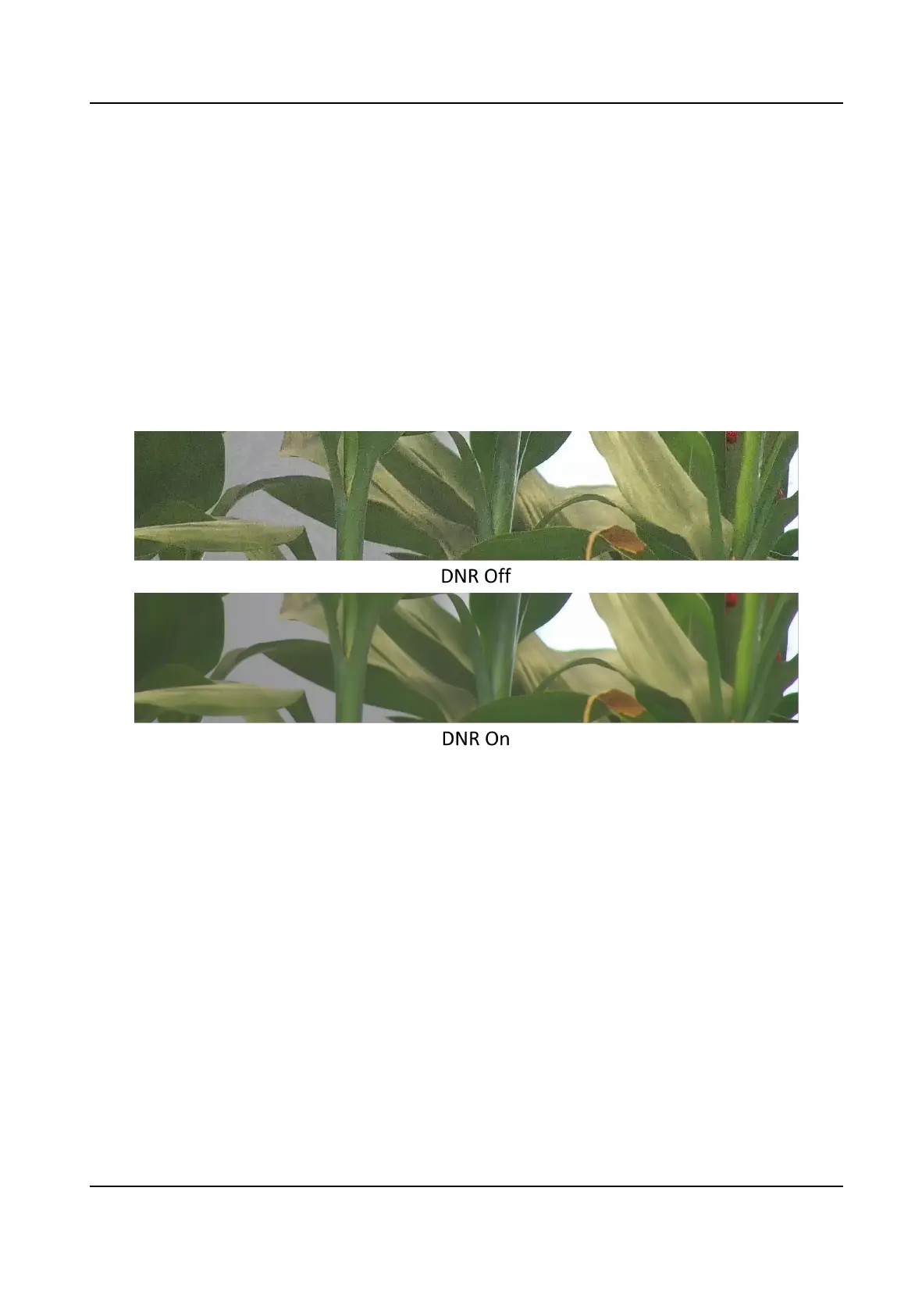 Page #56 background image