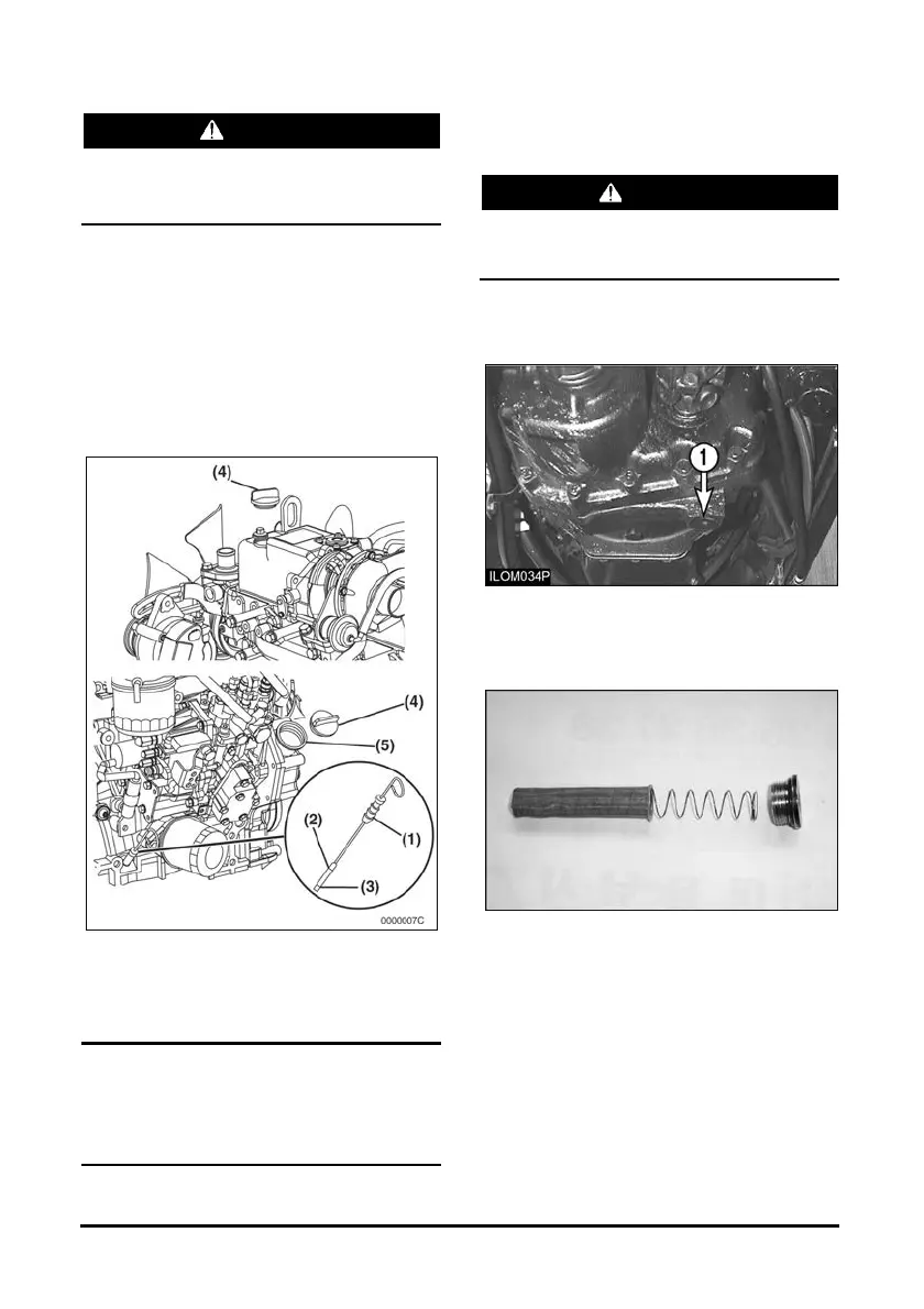 Page #219 background image