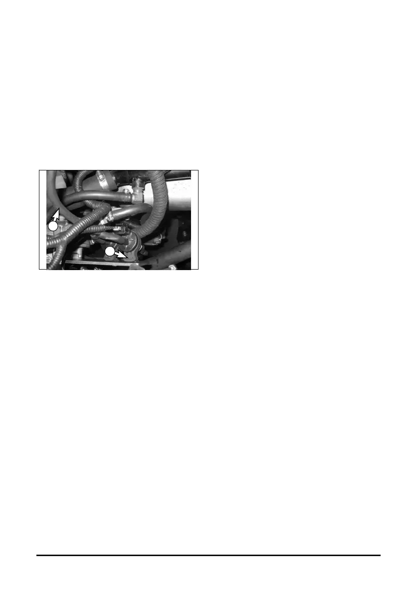 Page #233 background image