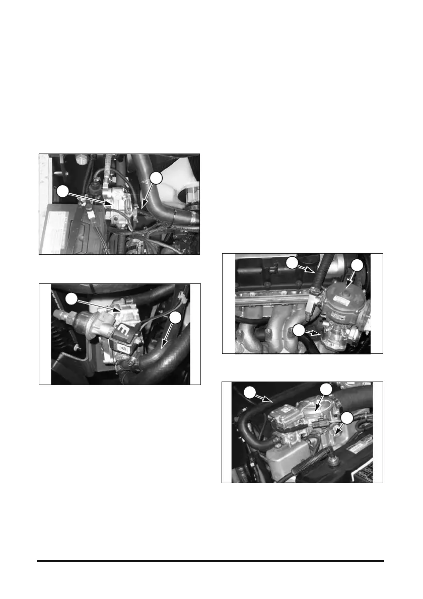 Page #241 background image