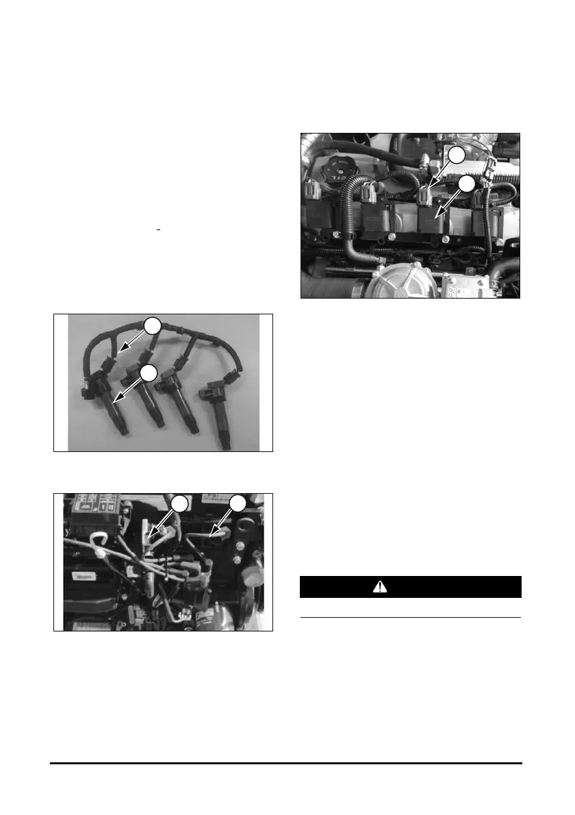 Page #243 background image