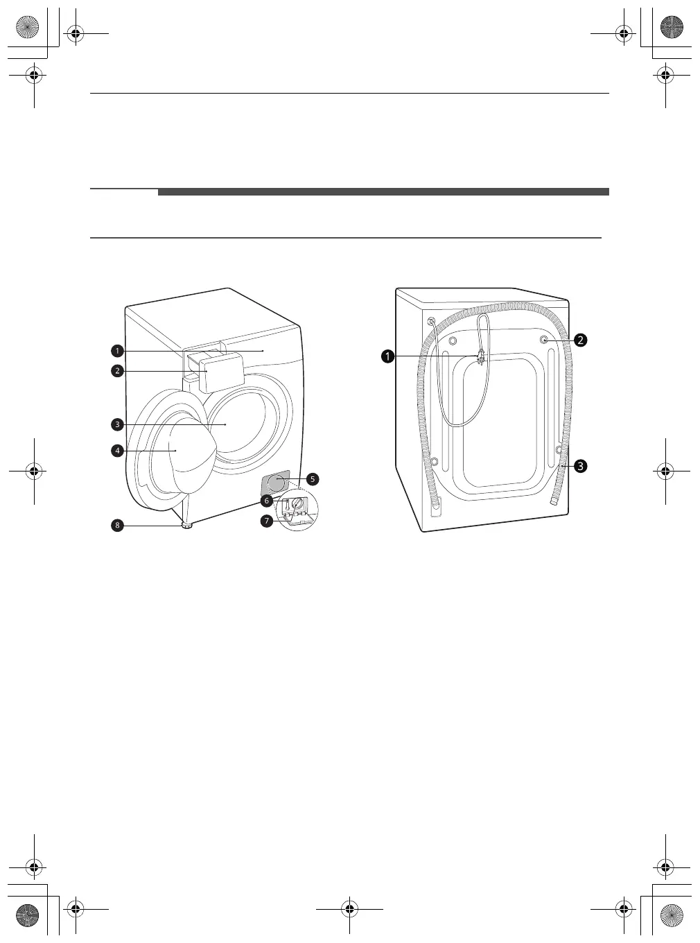 Page #8 background image