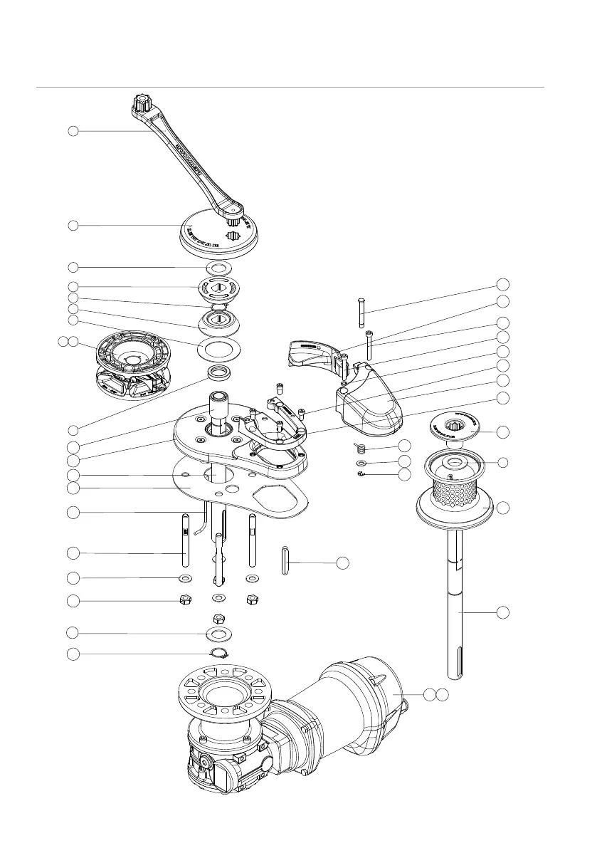 Page #24 background image